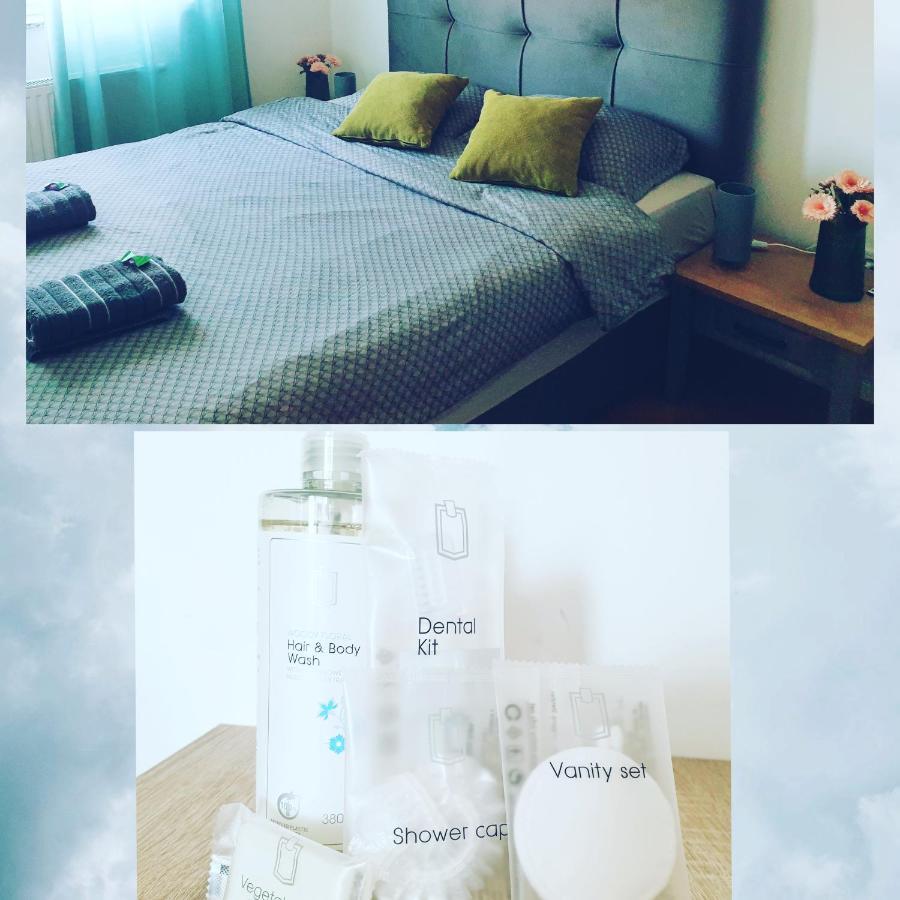 Apartman Angel 奥西耶克 外观 照片